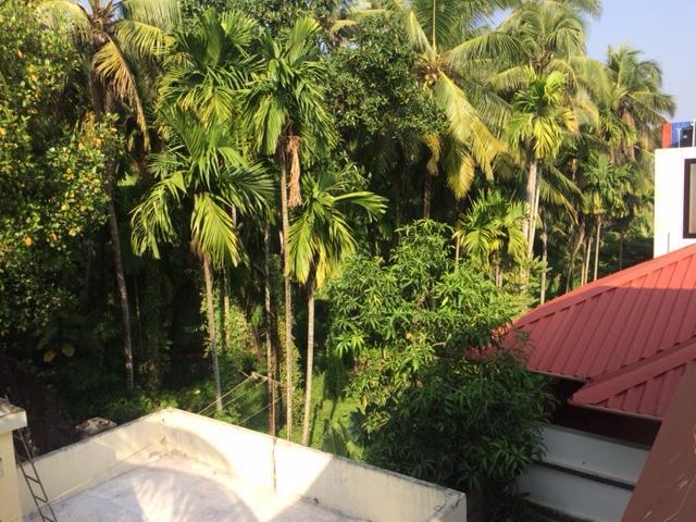 Greenview Homestay Kochi Luaran gambar
