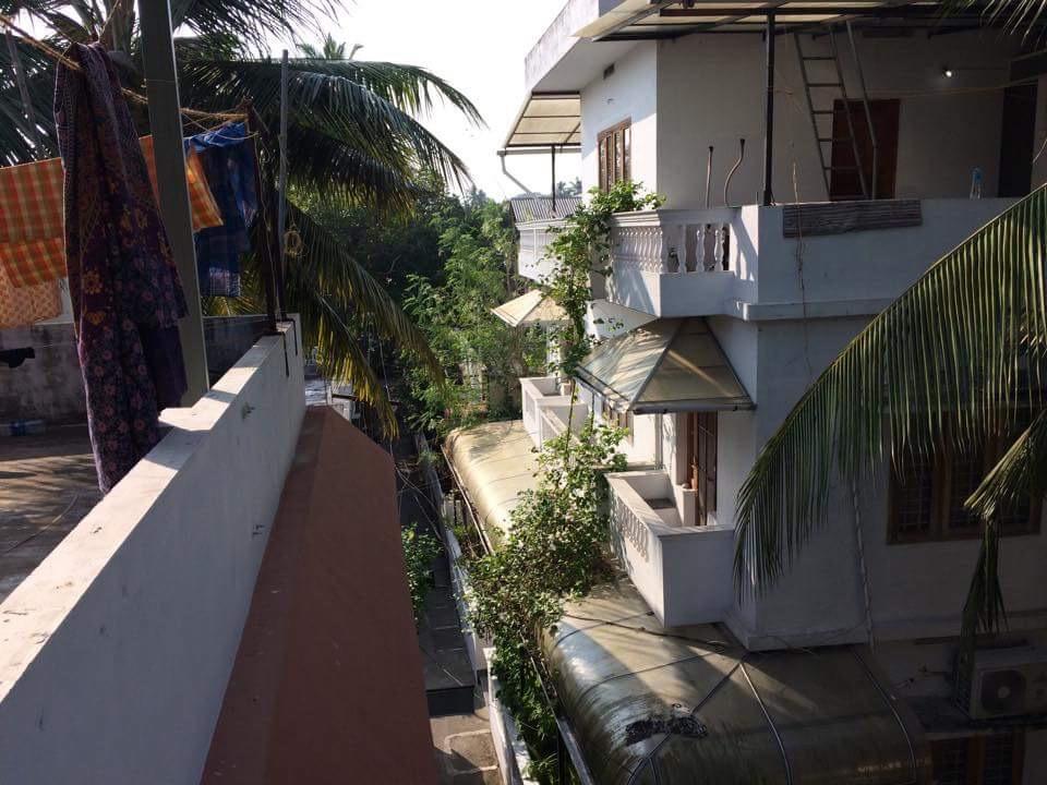 Greenview Homestay Kochi Luaran gambar